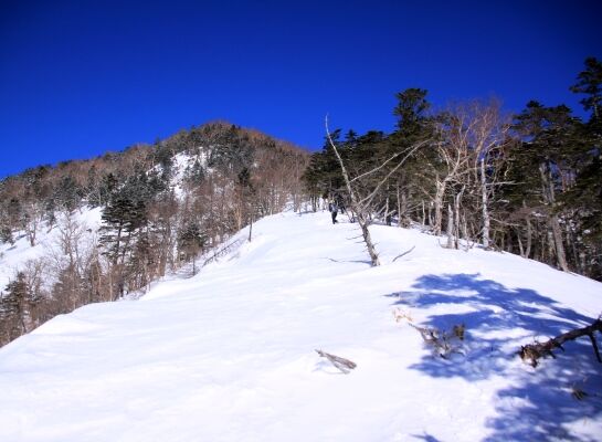 20140322mitugashira-013.jpg