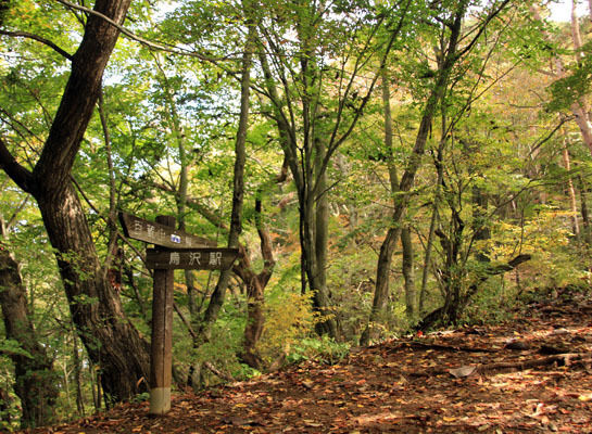 20151018ogiyama-011.jpg