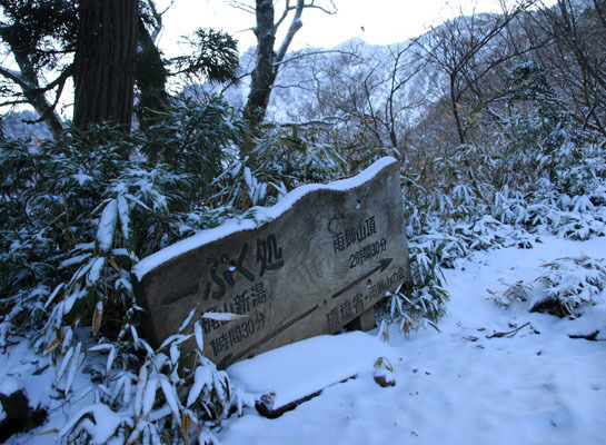 20161104amakazariyama-013.jpg