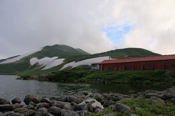 20170727renge-013.jpg