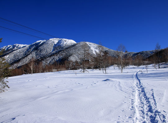 20150124kitayokodake-004.jpg