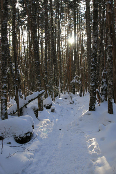 20180206tengudake-029