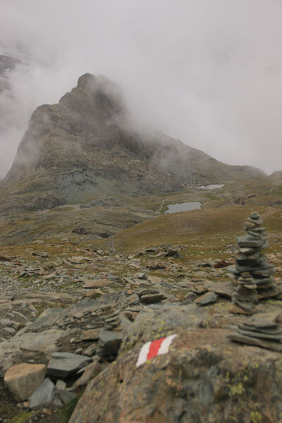 20240818 gornergrat-016