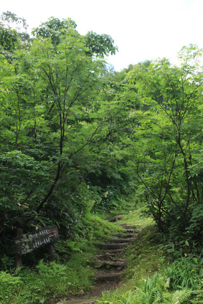 20170727renge-005.jpg