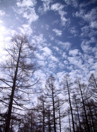 20140329tateshinayama-033