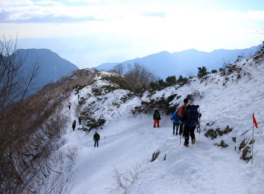 20141123tubakuro-015.jpg