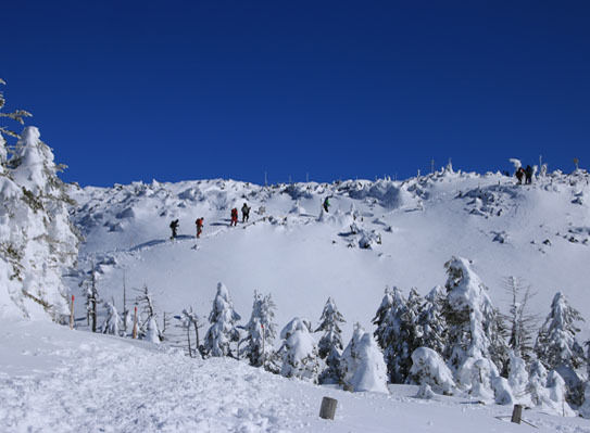 20150124kitayokodake-013.jpg