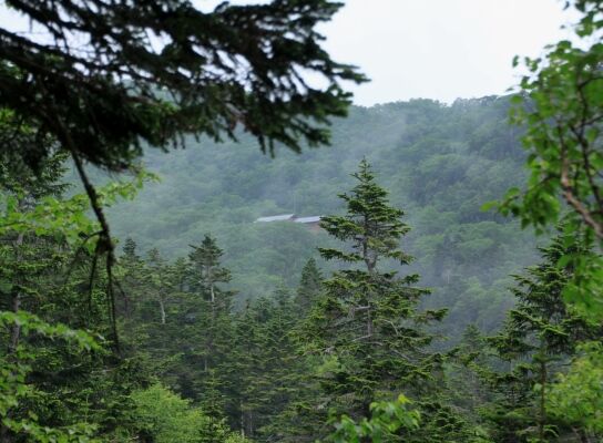 20130727senjyo-010.jpg