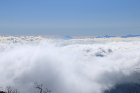 20211102tubakuro-015