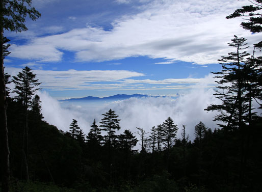 20140803hououhigaeri-018.jpg