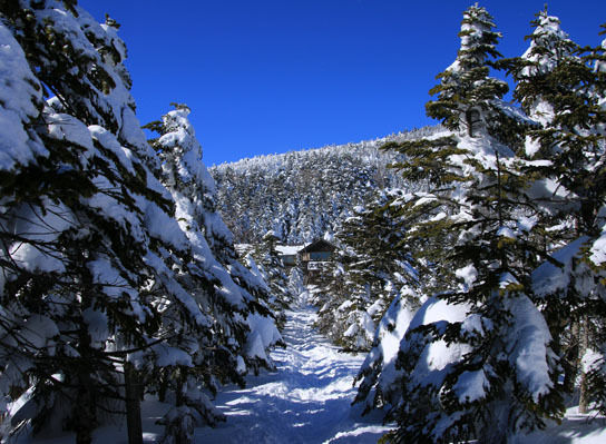 20150124kitayokodake-016.jpg