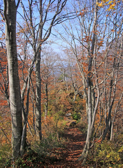 20161104amakazariyama-050.jpg