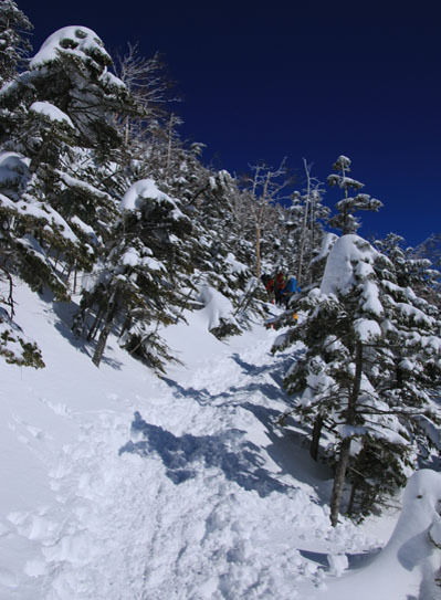 20150124kitayokodake-015.jpg