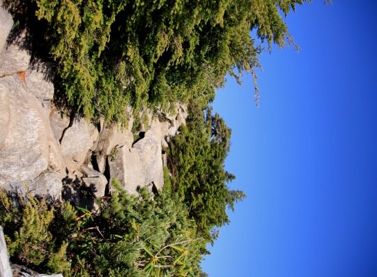 20131013yatu-015.jpg