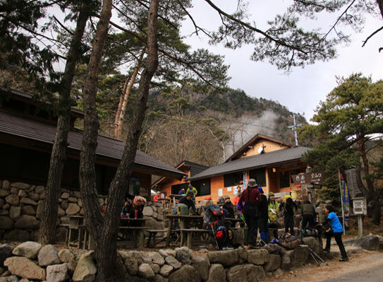 20141123tubakuro-019.jpg