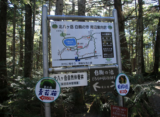 20161007mugikusatouge-005.jpg