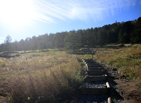 20161007mugikusatouge-003.jpg