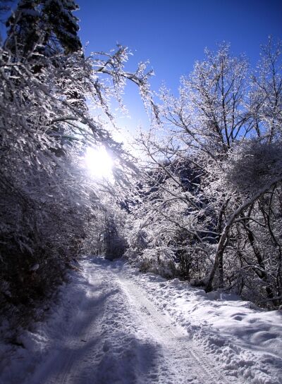 20140111yatugatake-002