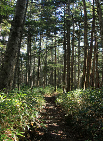 20161007mugikusatouge-004.jpg