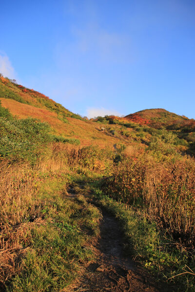 20171012yakeishidake-006.jpg