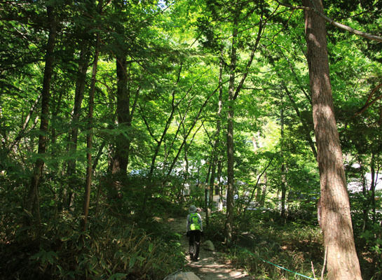 20160618tubakurodake-032.jpg