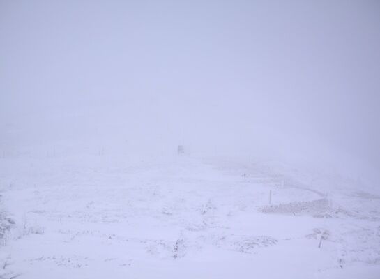 20131221yatugatake-118.jpg