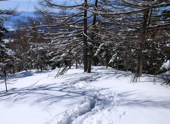 20150124kitayokodake-028.jpg