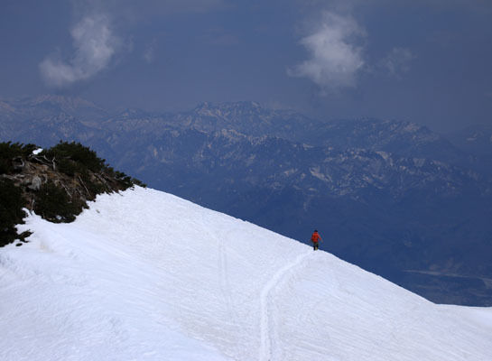 20150425karmatudake-026.jpg
