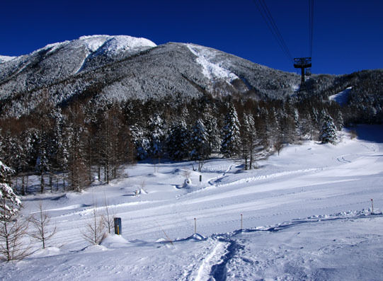 20150124kitayokodake-007.jpg
