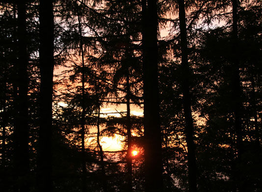 20140803hououhigaeri-005.jpg
