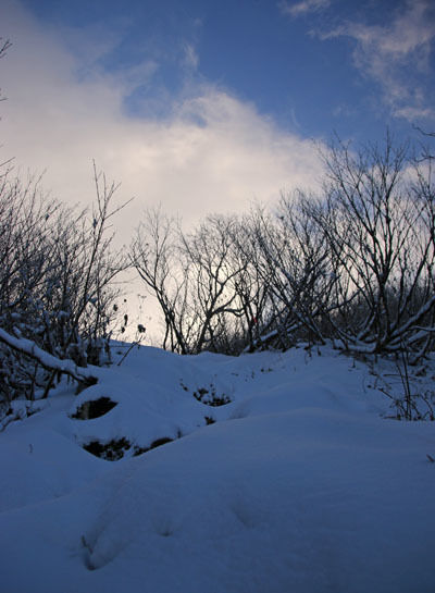 20161104amakazariyama-020.jpg