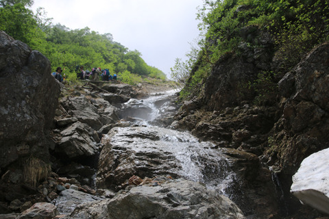 20180720harinokidake-014