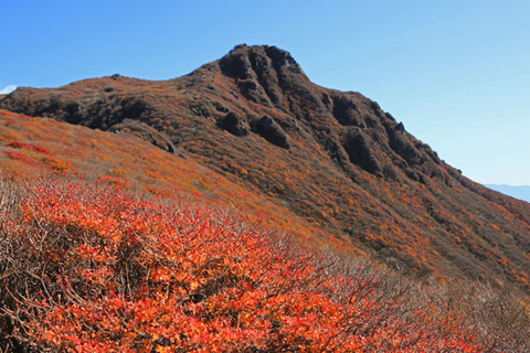 20191101kujyu-030