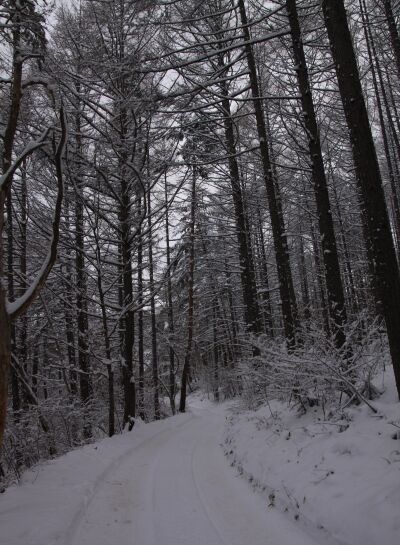 20131221yatugatake-003