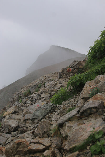 20170728hakubayari-010.jpg
