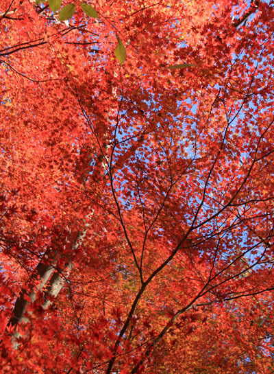 20151205nantaisan-020.jpg