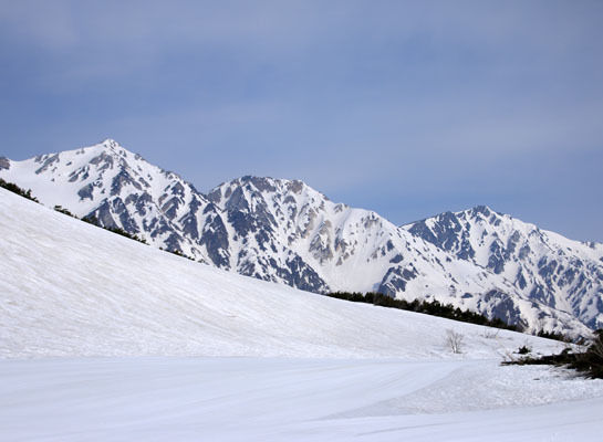 20150425karmatudake-004.jpg