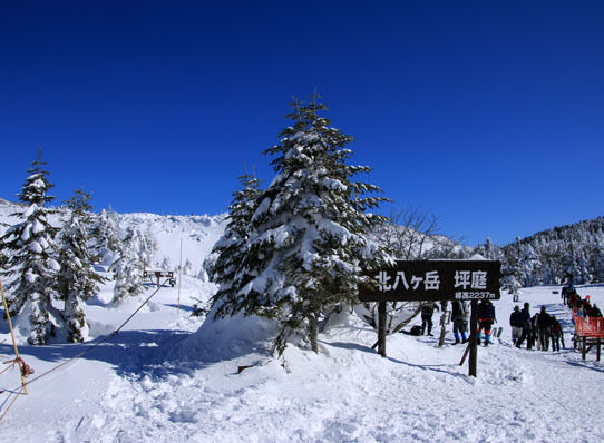 20150124kitayokodake-012.jpg