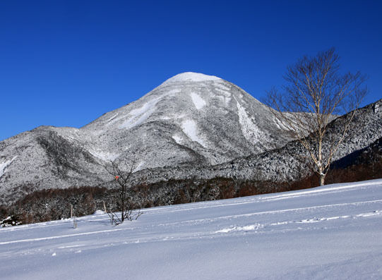20150124kitayokodake-005.jpg