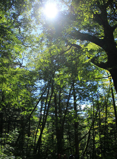 20161002karasawa-023.jpg