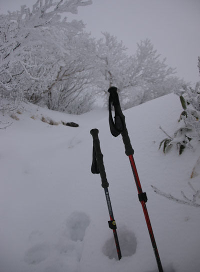 20161210azumayasan-018.jpg