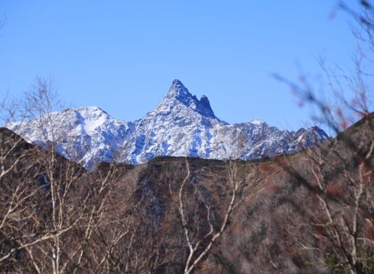 20131101tubakuro-217.jpg