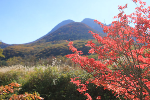 20191102kujyu-035