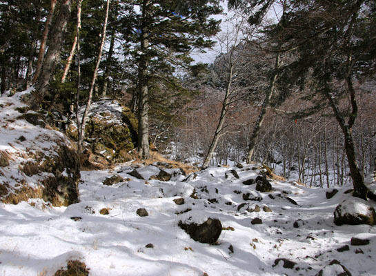 20151225yatugatake-008.jpg