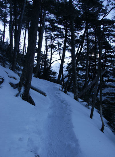 20160227yatugatake-002.jpg