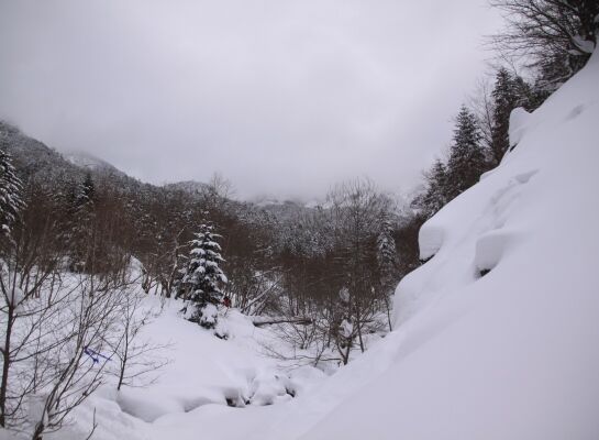 20140111yatugatake-007.jpg