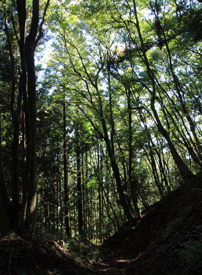 20151018ogiyama-018.jpg