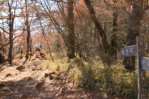 20231102amigasayama-015