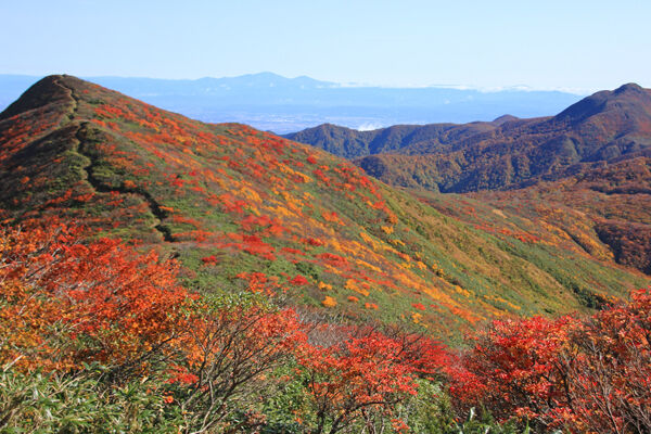 20171012yakeishidake-021.jpg