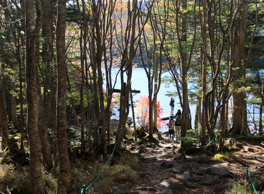 20161007mugikusatouge-006.jpg